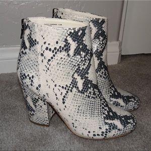 Steve Madden “SHADE”